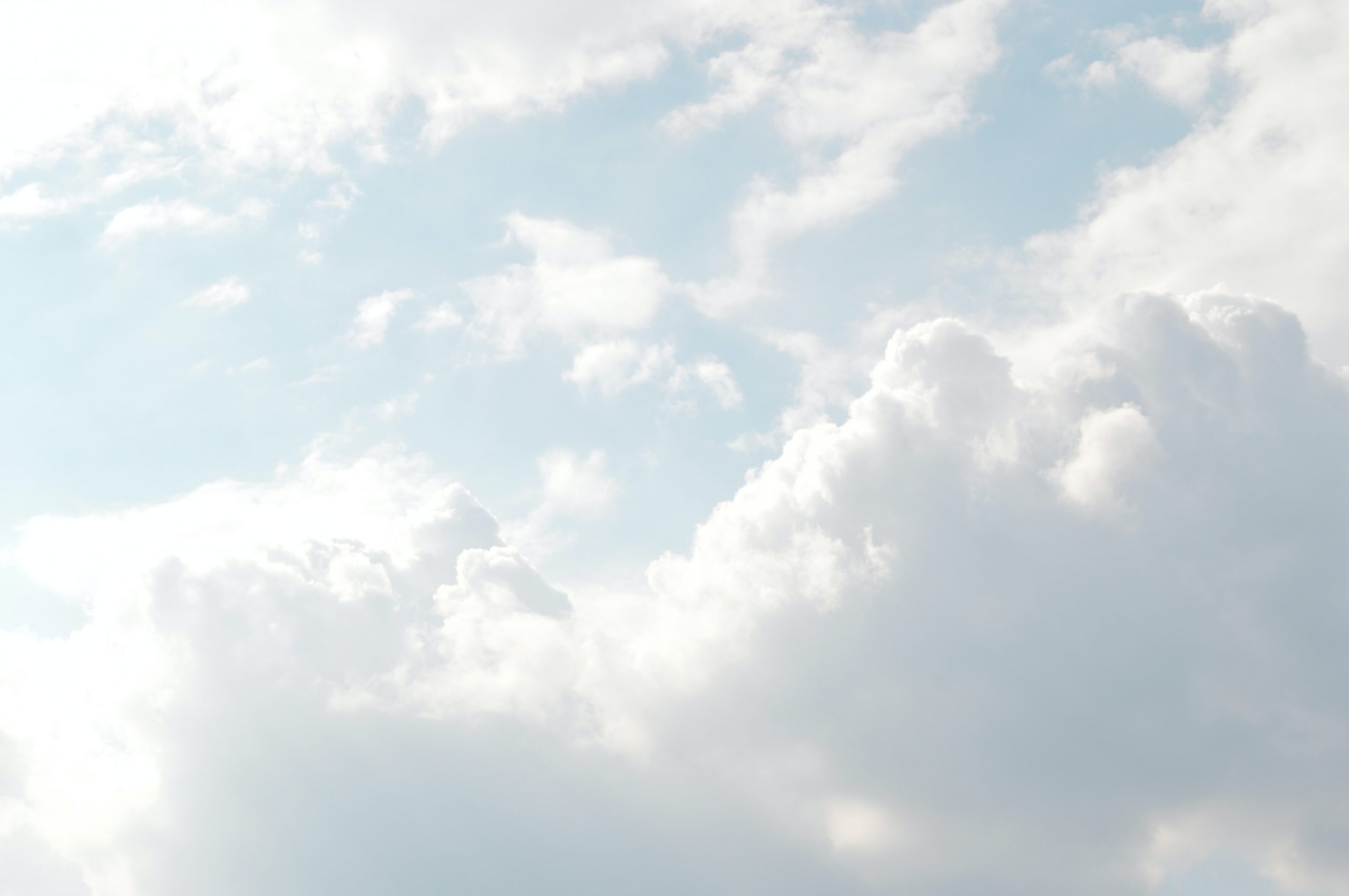 Web Development White Background