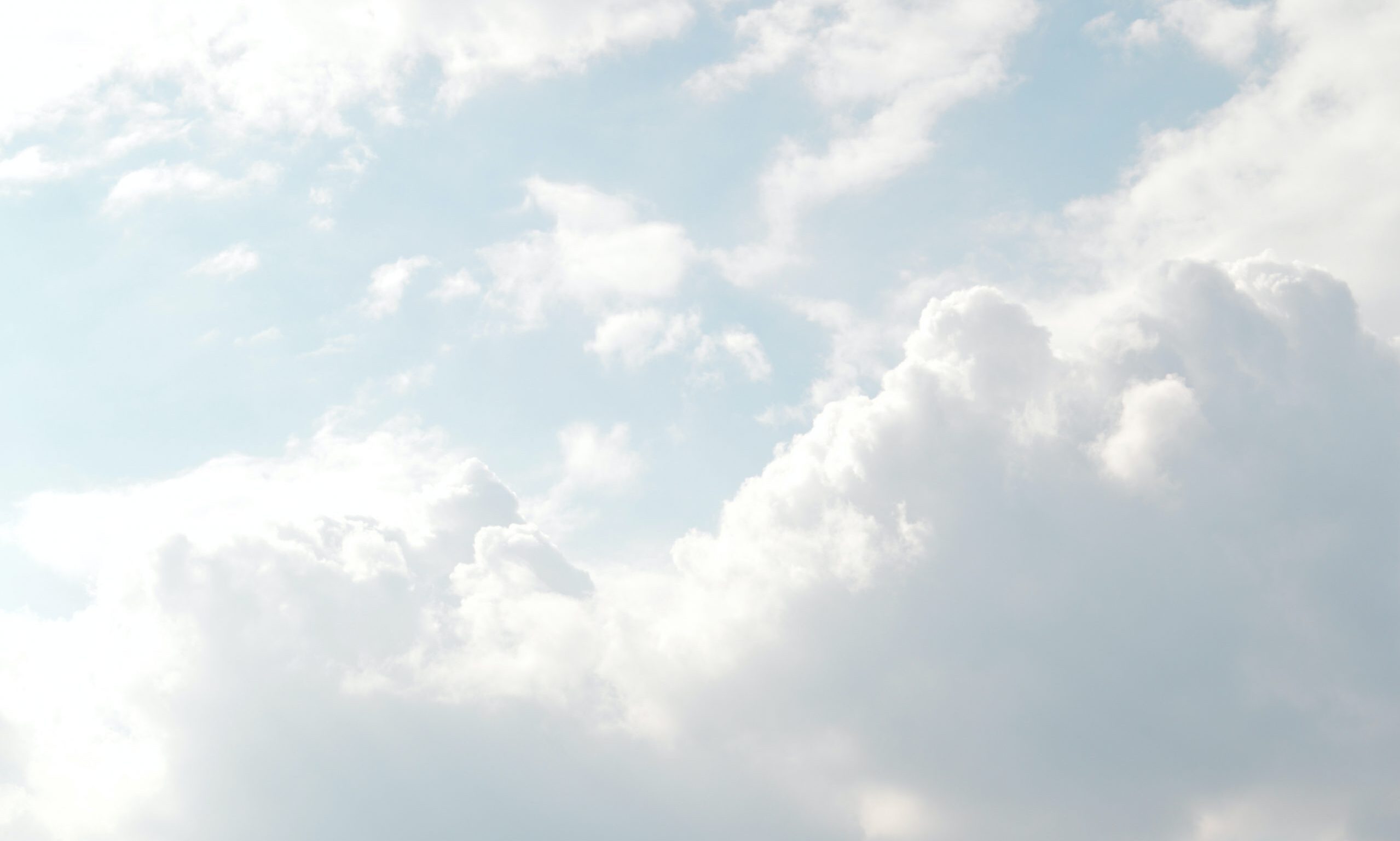 Web Development White Background